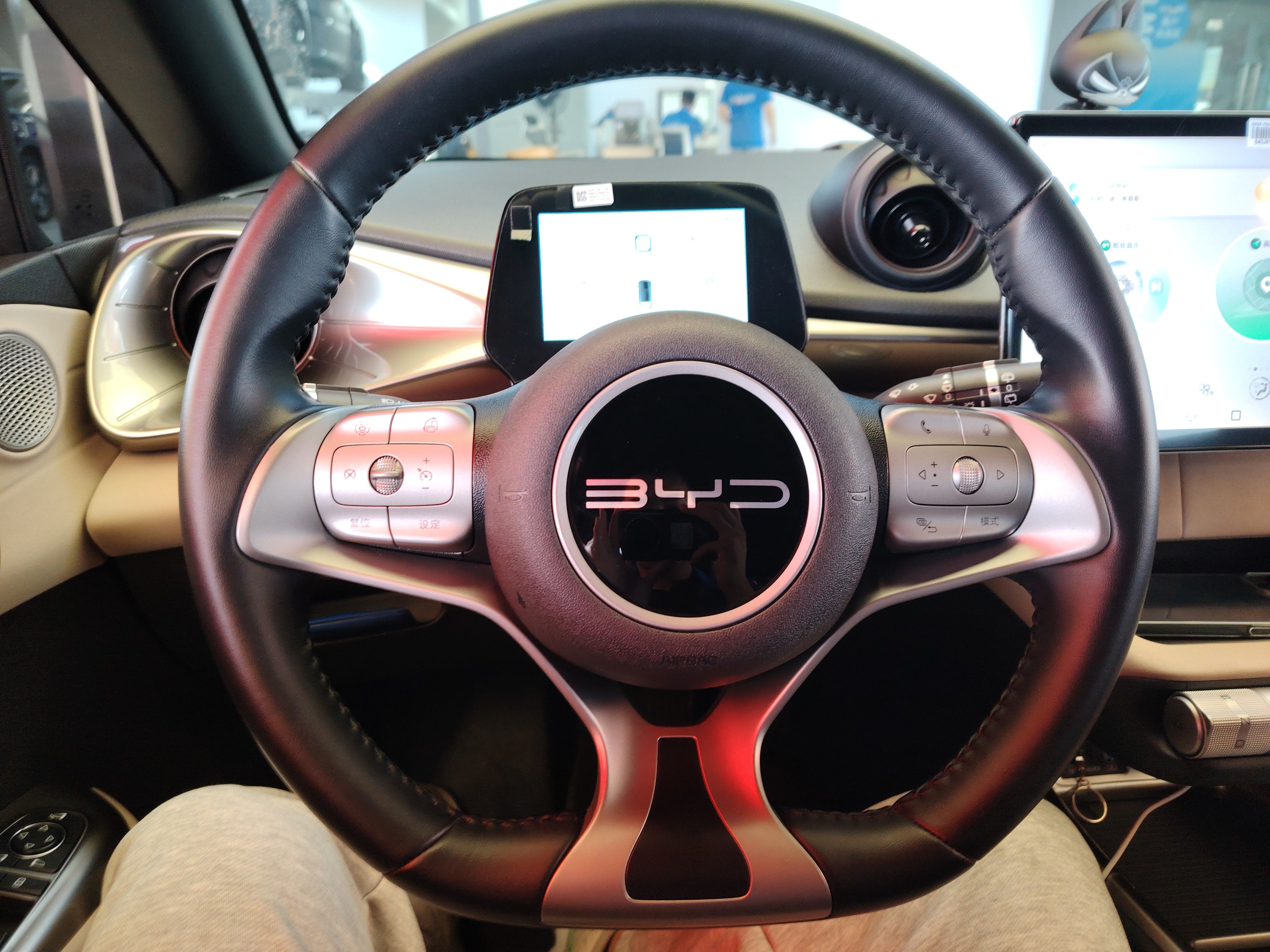 BYD Dolphin 2023 — фото 15