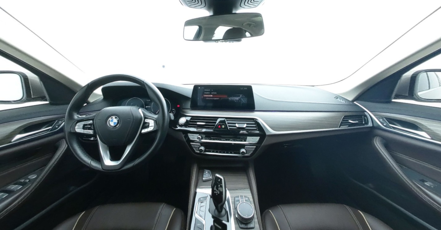BMW 5 Series Hybrid 2019 — фото 9